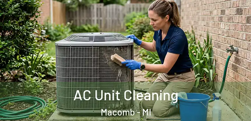 AC Unit Cleaning Macomb - MI
